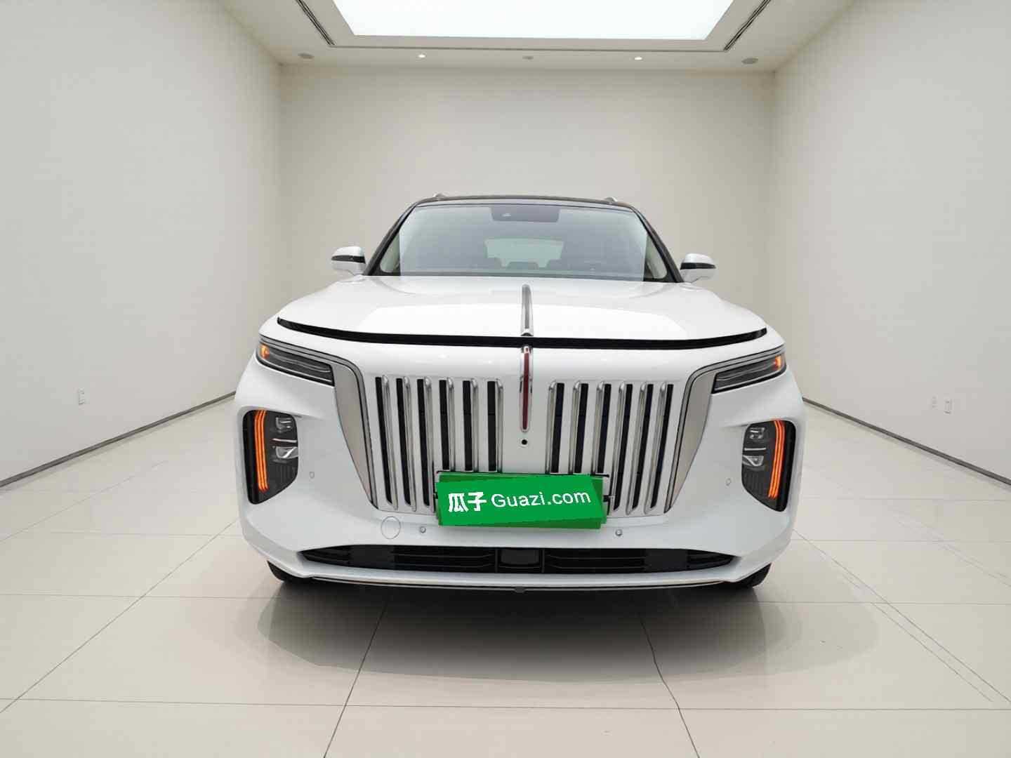 红旗E-HS9 2022款 690km 旗享版 六座(1)