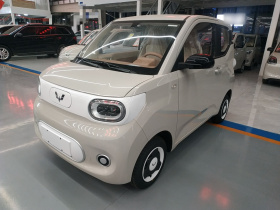 五菱汽车 宏光MINIEV 2024款 第三代 215km 青春版