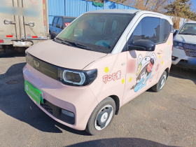 五菱汽车 宏光MINIEV 2022款 轻松款 磷酸铁锂