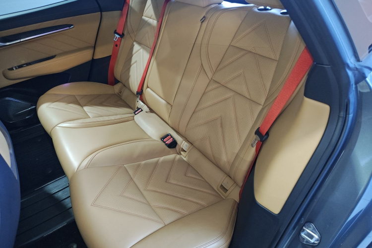 极氪001 2021款 超长续航单电机 WE版中控内饰21