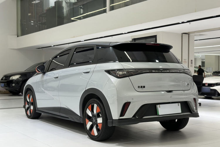 比亚迪 海豚 2021款 401km 骑士版车身外观6006