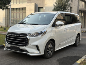 上汽大通MAXUS 大通G20 2020款 2.0T 汽油自动豪华版