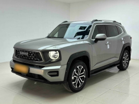 哈弗大狗 PLUS 2023款 2.0T 两驱潮野版Plus