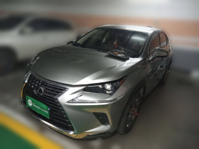 雷克萨斯NX 2018款 300 前驱 锋行版