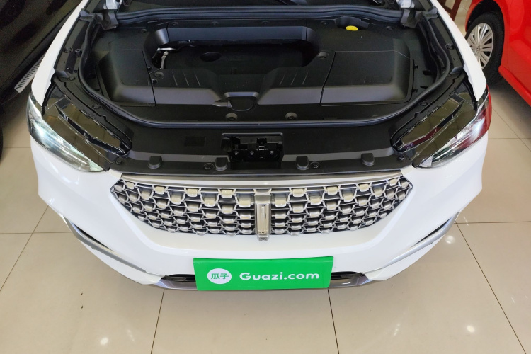 魏牌 VV6 2021款 2.0T 两驱智护+局部细节24