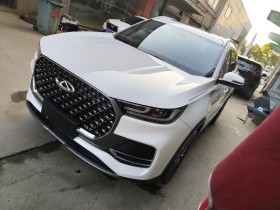 奇瑞 瑞虎8 PLUS 2022款 290TGDI DCT豪情版+