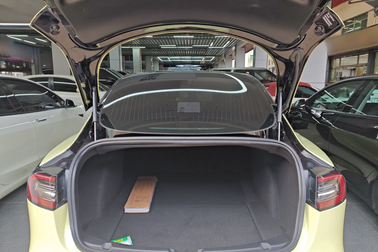 特斯拉 Model 3 2019款 标准续航后驱升级版局部细节23