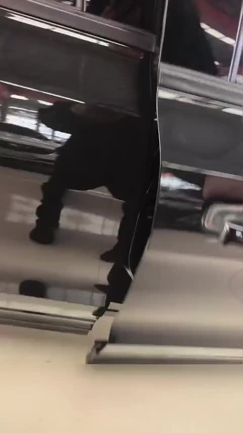 领克01 2021款 2.0TD 四驱暗夜版讲解2