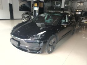 特斯拉 Model 3 2021款 改款 标准续航后驱升级版 3D1