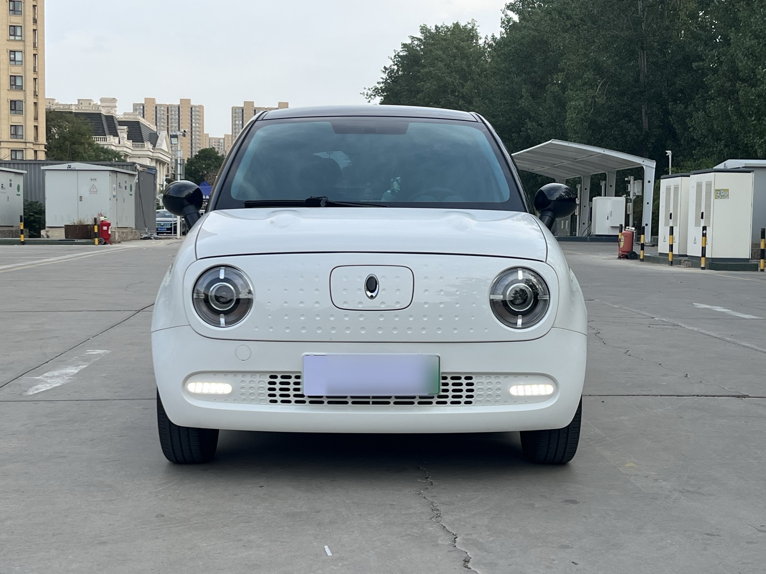 欧拉黑猫 2021款 351km 标准型