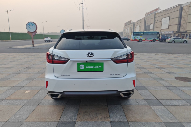 雷克萨斯RX 2016款 300 两驱精英版 国V车身外观6005