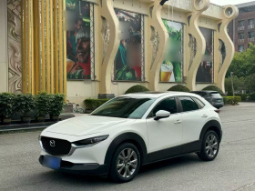 马自达CX-30 2021款 2.0L 自动雅悦型