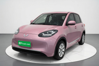 五菱汽车 五菱缤果 2023款 203km 轻享款