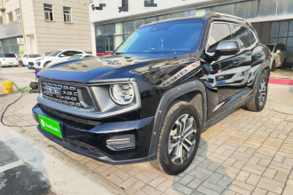 哈弗大狗 PLUS 2023款 1.5T 两驱潮野版Plus