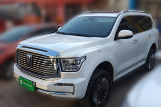 坦克500新能源 2024款 Hi4-T