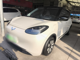 五菱汽车 五菱缤果 2023款 333km 快享款