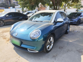 欧拉好猫 2023款 401km标准续航 舒享型 磷酸铁锂