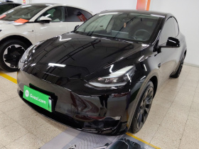 特斯拉 Model Y 2021款 标准续航后驱版