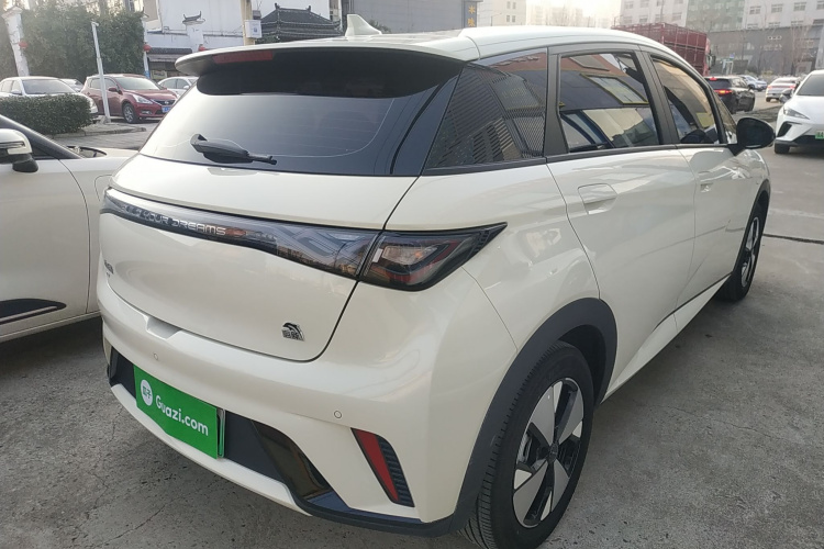 比亚迪 海豚 2023款 420km 自由版车身外观7