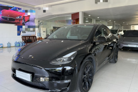特斯拉 Model Y 2021款 标准续航后驱版