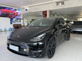 特斯拉 Model Y 2021款 标准续航后驱版