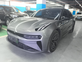 极氪001 2024款 WE版 100kWh 后驱