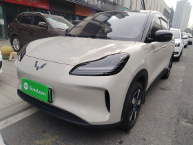 五菱汽车 五菱缤果PLUS 2024款 510km 五座版