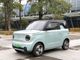 吉利汽车 2023款 熊猫mini 200km 灵动熊