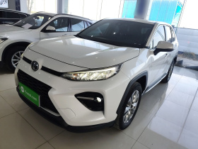 丰田 威兰达 2021款 2.0L CVT两驱豪华版