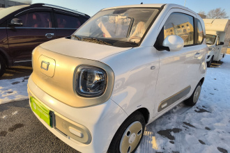 奔腾小马 2026款 222km 闪耀马