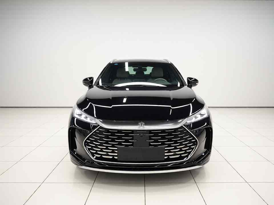 比亚迪 唐新能源 2025款 智驾版 DM-i 115KM 旗舰型(1)