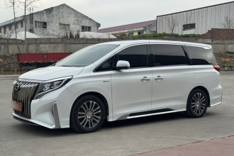 广汽传祺 传祺M8 2023款 大师系列 390T 尊贵版