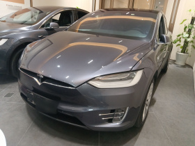 特斯拉 Model X 2019款 长续航版