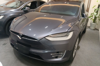 特斯拉 Model X 2019款 长续航版