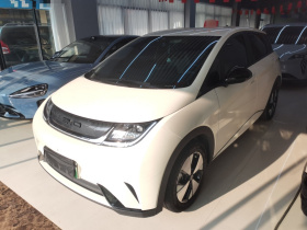 比亚迪 海豚 2023款 420km 自由版