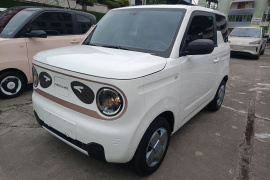 吉利银河 2024款 熊猫mini 200km 耐力熊