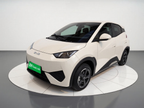 比亚迪 海鸥 2025款 智驾版 305km 活力版