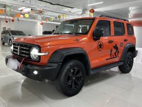 坦克300 2021款 越野版 2.0T 征服者