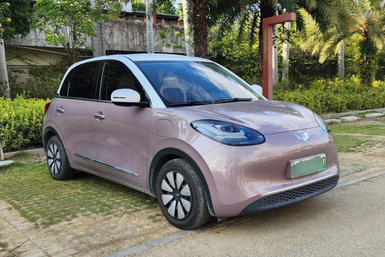 五菱汽车 五菱缤果 2023款 333km 悦享+款车身外观6005