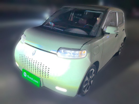 欧拉白猫 2022款 升级版 305km 豪华型 三元锂