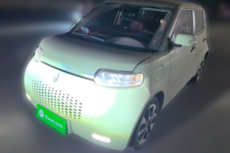 欧拉白猫 2022款 升级版 305km 豪华型 三元锂