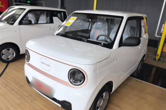 吉利银河 2024款 熊猫mini 200km 耐力熊