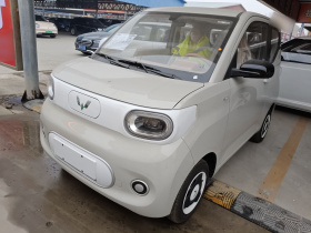 五菱汽车 宏光MINIEV 2024款 第三代 215km 青春版