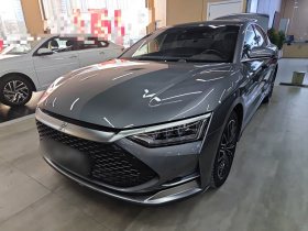 比亚迪 汉 2020款 DM 四驱性能版豪华型