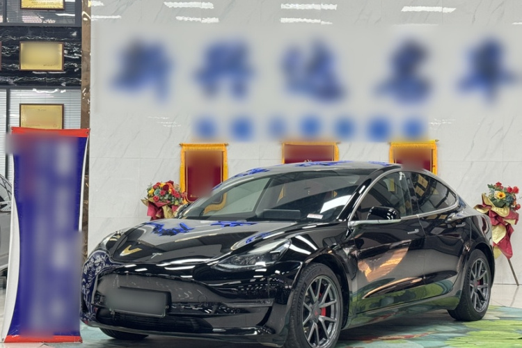 特斯拉 Model 3 2020款 长续航后轮驱动版局部细节36