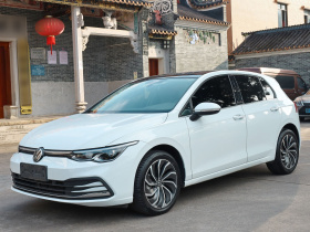 大众 高尔夫 2021款 200TSI DSG Pro