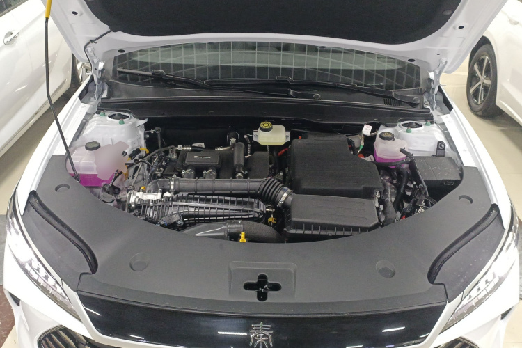 比亚迪 秦PLUS 2025款 DM-i 智驾版 128KM进取型局部细节24