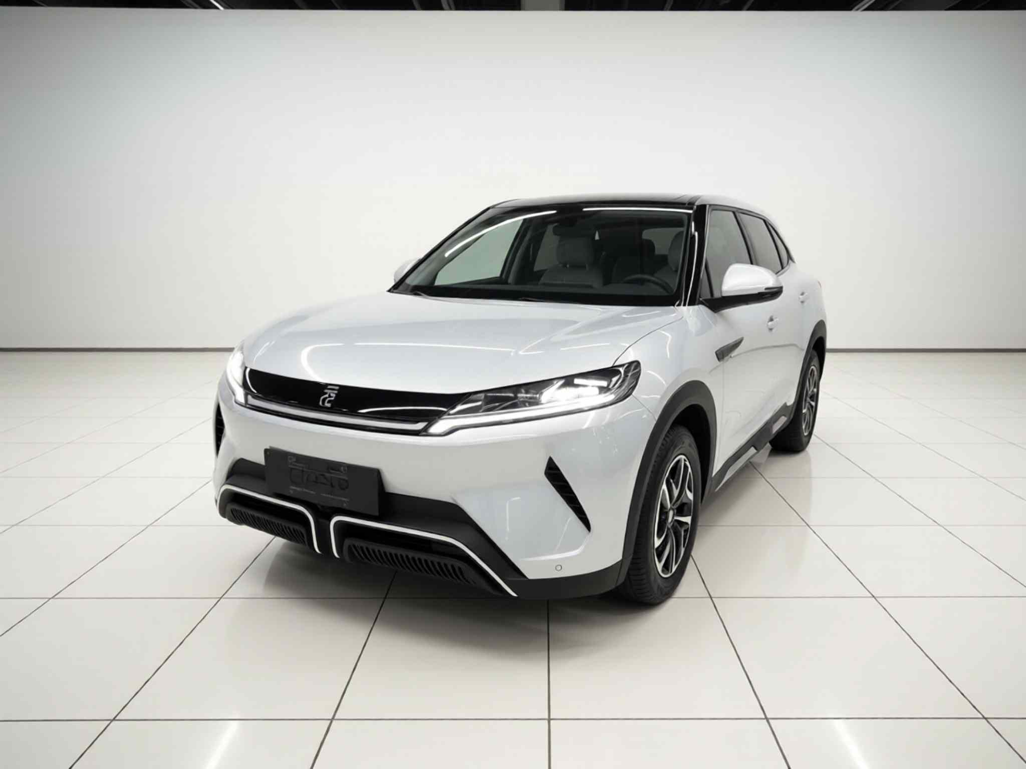 比亚迪 元UP 2024款  401KM 活力版(2)