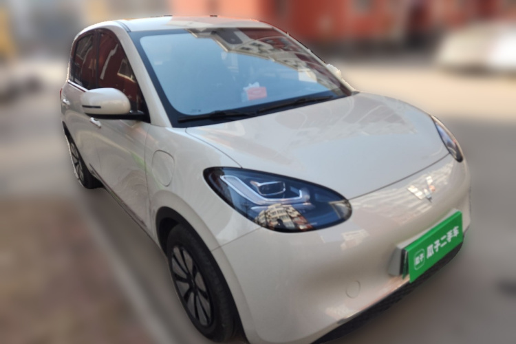 五菱汽车 五菱缤果 2023款 203km 舒享款车身外观6002