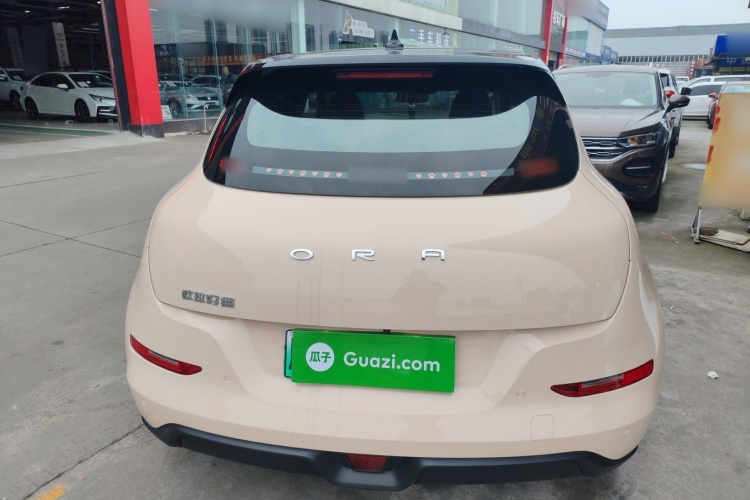 欧拉好猫 2022款 400km标准续航 豪华型 磷酸铁锂车身外观6